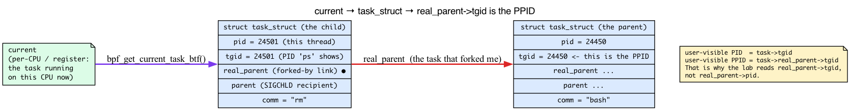 task_struct fields and the real_parent->tgid PPID hop