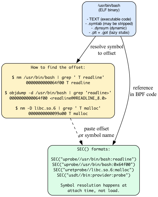 Unstripped vs stripped binary: .symtab removed, .dynsym survives; libbpf searches dynsym then symtab