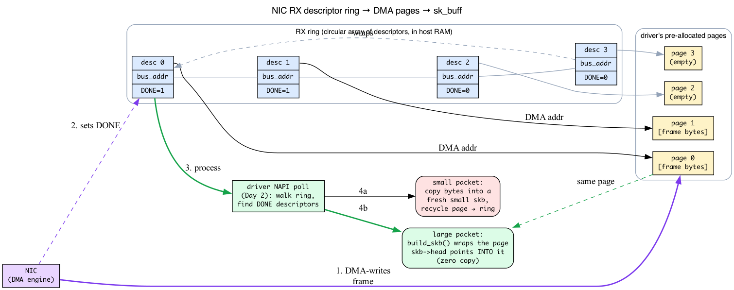 NIC RX descriptor ring, DMA pages, and the two skb paths