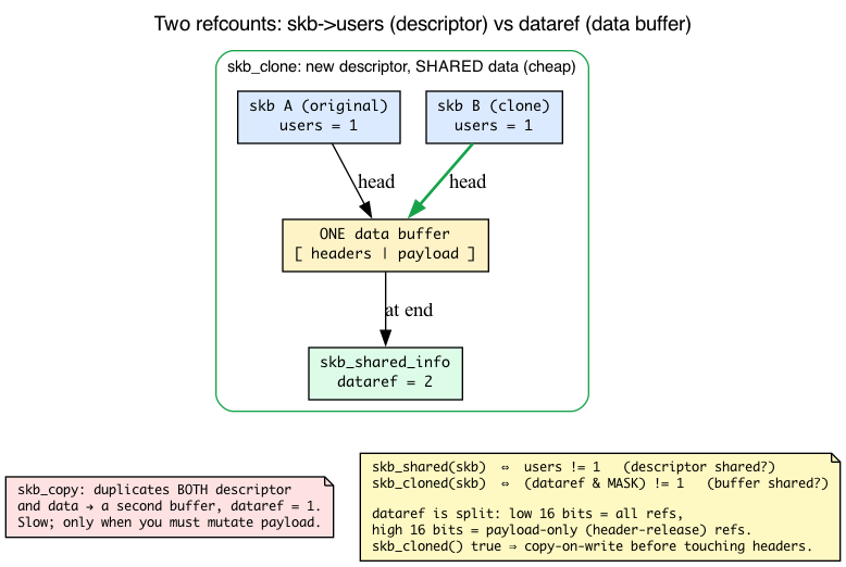 Two refcounts: skb->users on the descriptor vs. dataref on the shared data buffer
