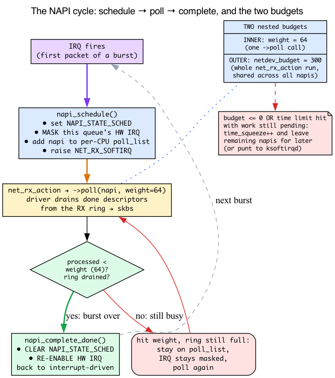 NAPI cycle: schedule → poll → complete state machine, with the inner weight=64 and outer netdev_budget=300 budgets and time_squeeze on exhaustion