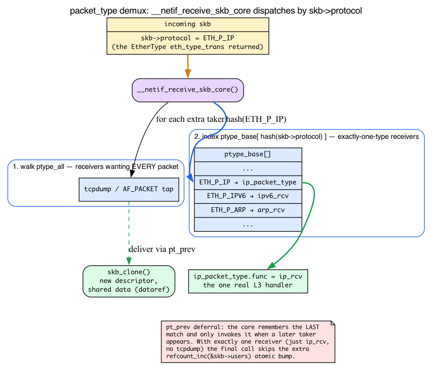 packet_type demux: __netif_receive_skb_core walks ptype_all, shares the skb by reference when needed, then indexes ptype_base by skb->protocol to reach ip_rcv, with pt_prev deferral skipping the extra users bump