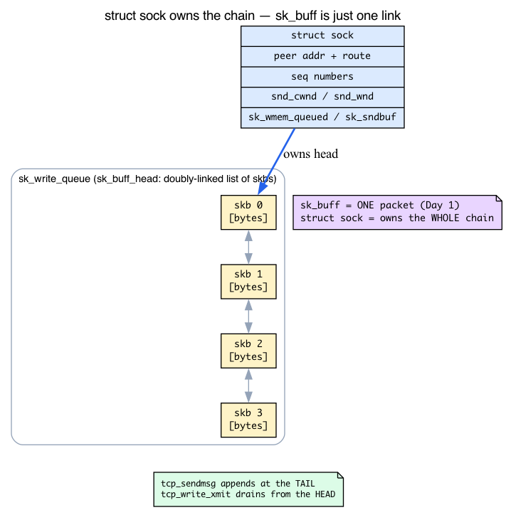 One sock owns a horizontal chain of skbs in sk_write_queue