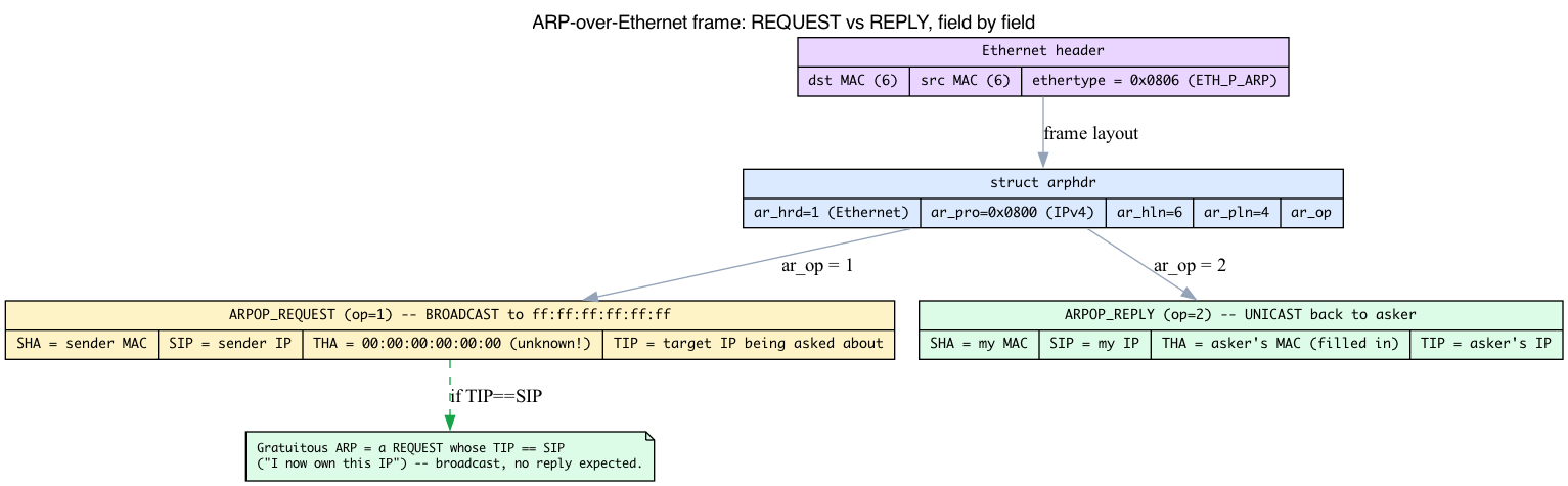 ARP-over-Ethernet wire format: request vs reply