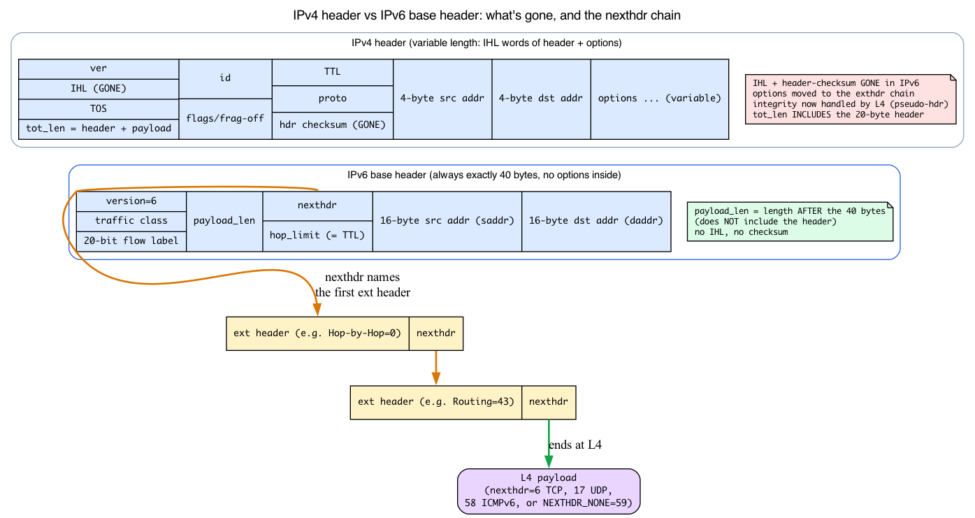 IPv4 vs IPv6 base header and the nexthdr chain