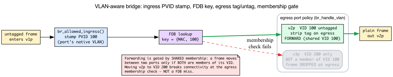 VLAN-aware bridge ingress, FDB key, egress membership gate