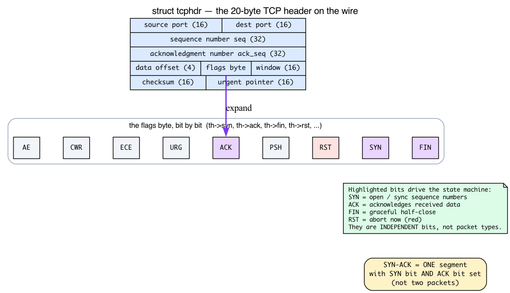 Day 15 — TCP state machine - Linux Network Subsystem in 30 Days