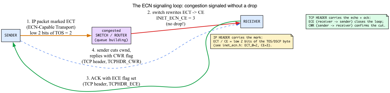 ECN signaling loop: congestion signaled without a drop