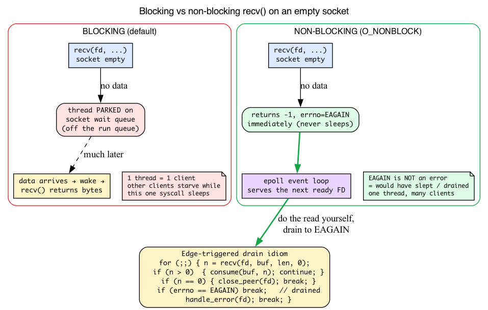 Blocking vs non-blocking recv and the ET drain loop
