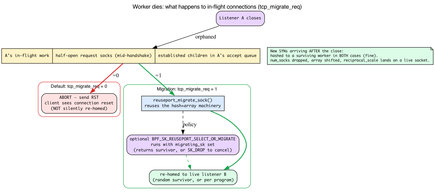 Worker death: default tcp_migrate_req=0 RSTs in-flight children versus =1 migrating them to a survivor