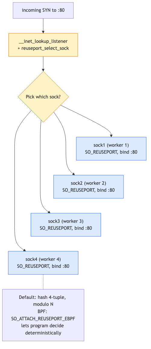 SO_REUSEPORT