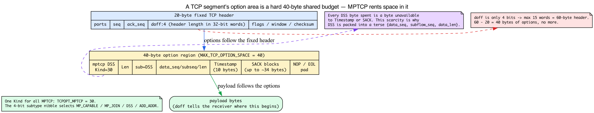 TCP option area as a 40-byte shared budget with MPTCP, Timestamp, and SACK competing